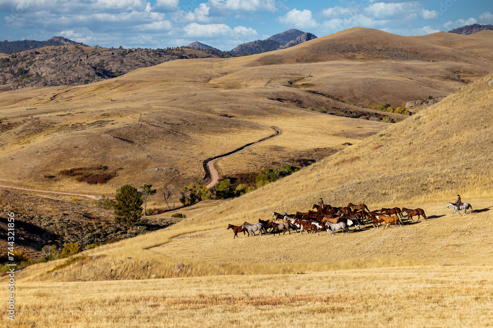 Obraz premium Wrangling horses by Cowgirls, Wyoming, Ranch, scenic, view, dirt road, 