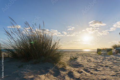Golden sunset at the beach in Portugal near Spain with green grass