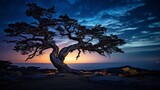 Ancient, twisted juniper tree at night with dramatic backlighting