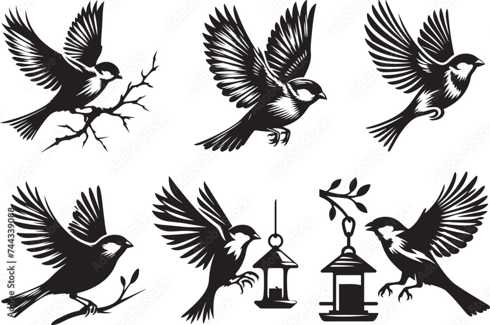 Obraz premium set of silhouettes of birds