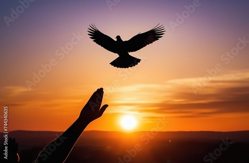 Silhouette pigeon return coming to hands in air vibrant sunlight sunset sunrise background. Freedom making merit concept. Nature animal people hope pray holy faith. International Day of Peace theme © Kseniya Ananko