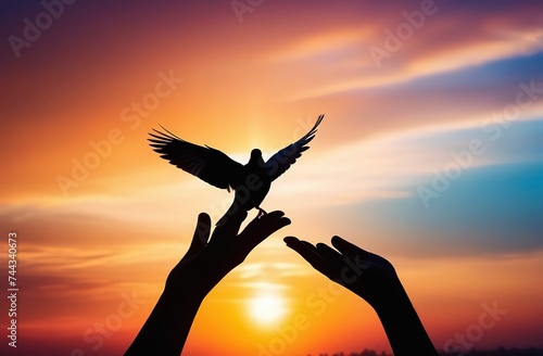 Silhouette pigeon return coming to hands in air vibrant sunlight sunset sunrise background. Freedom making merit concept. Nature animal people hope pray holy faith. International Day of Peace theme
