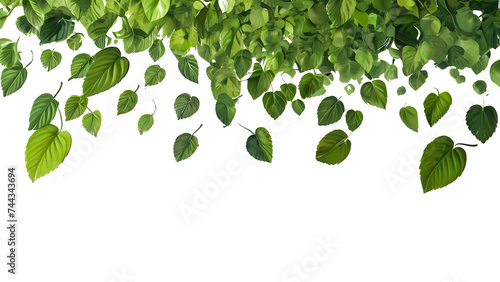 Green Floating Leaves Flying Leaves Green Leaf Dancing isolated on transparent background. Flying whirl green leaves in the air