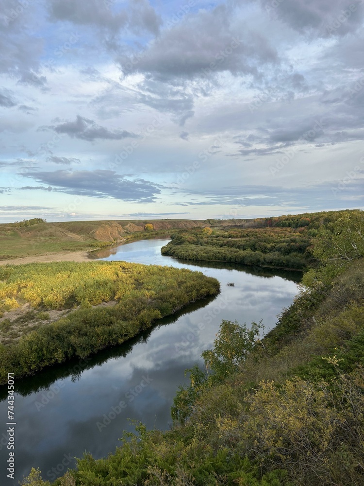 Fototapeta premium River bank lined with trees under a cloudy sky in a natural landscape