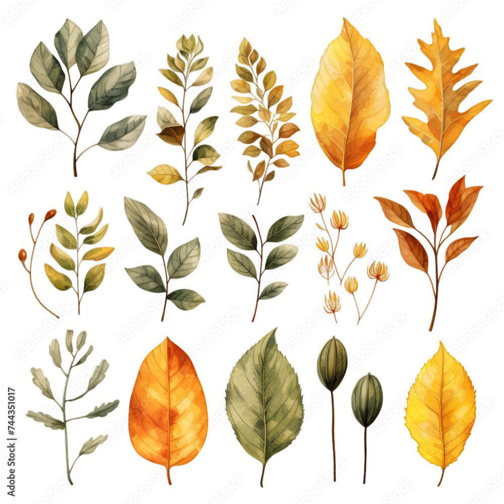 Obraz premium Assorted Botanical Illustrations for Designers