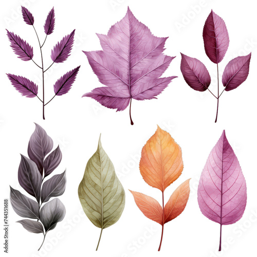 Colorful Leaf Illustrations for Creative Projects