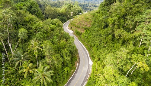 熱帯雨林の一本道 © megumin