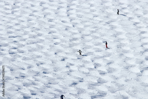 白馬八方尾根スキー場 兎平コブのモーグル