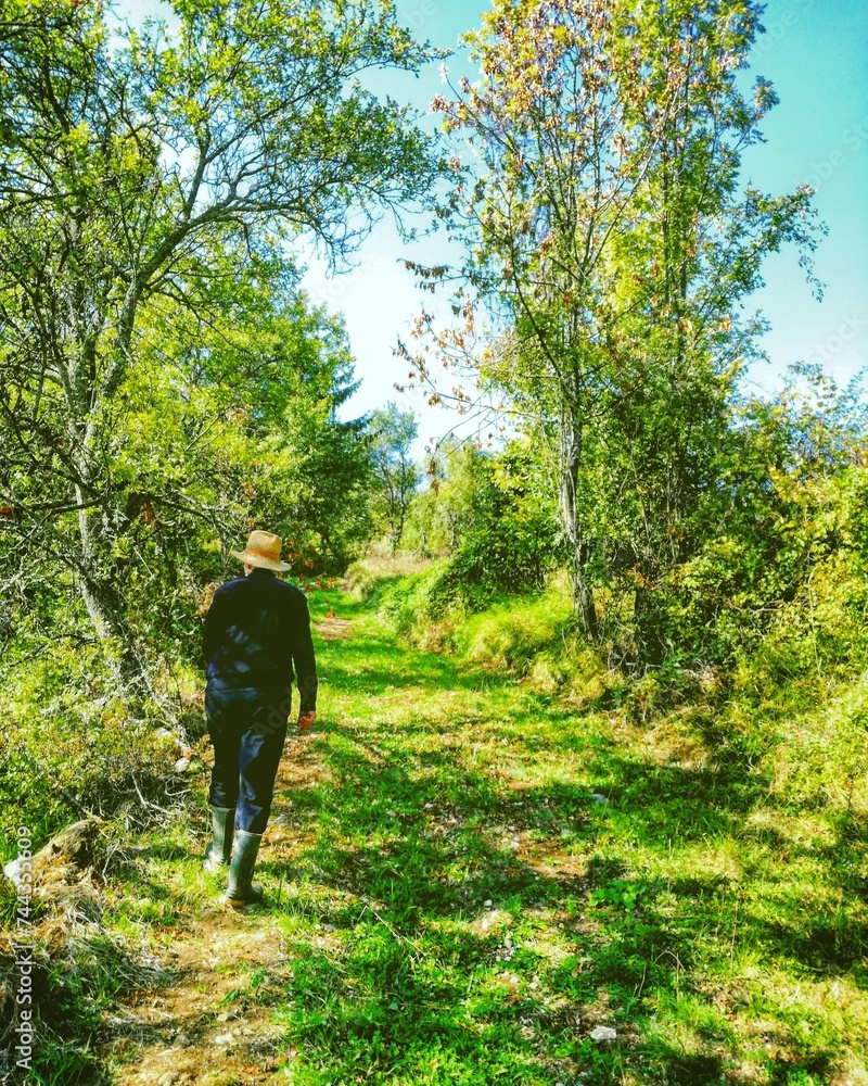 person in the forest person in the forest