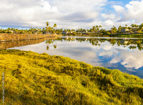 Palm Trees Reflecting on Fish Pond at Resort Hotel, Waikoloa, Hawaii Island, Hawaii, USA