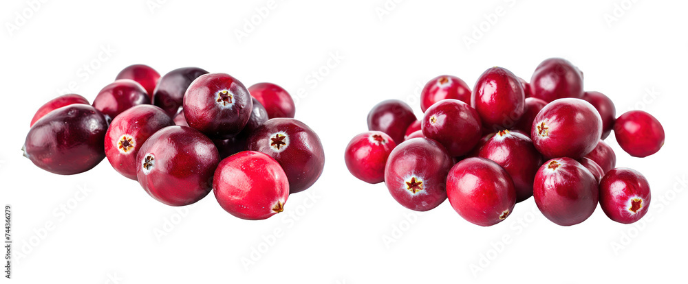 natural and tasty cranberry fruit in set natural and tasty cranberry fruit in set