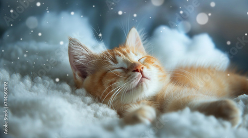 Sleeping Kitten. Generative AI.