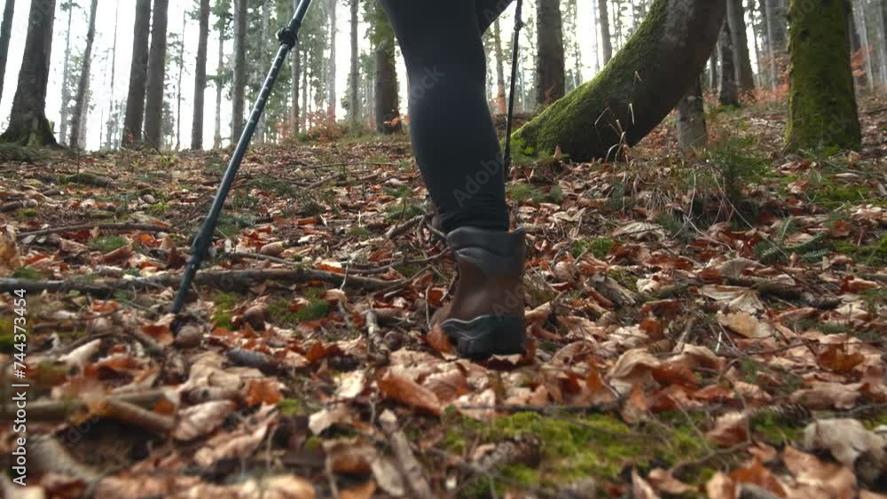 Young woman walking on a steep forest trail using trekking poles. Active woman hiker walking in the woods. People and nature concept Young woman walking on a steep forest trail using trekking poles. Active woman hiker walking in the woods. People and nature concept