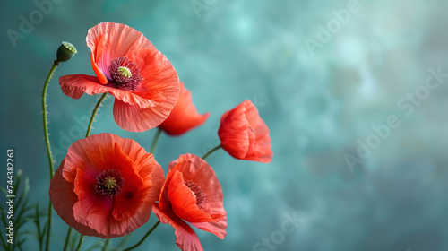 Red Poppy Flowers on Pastel Background, Remembrance Day Floral Tribute, Symbol of Memorial and Honor - Generative AI