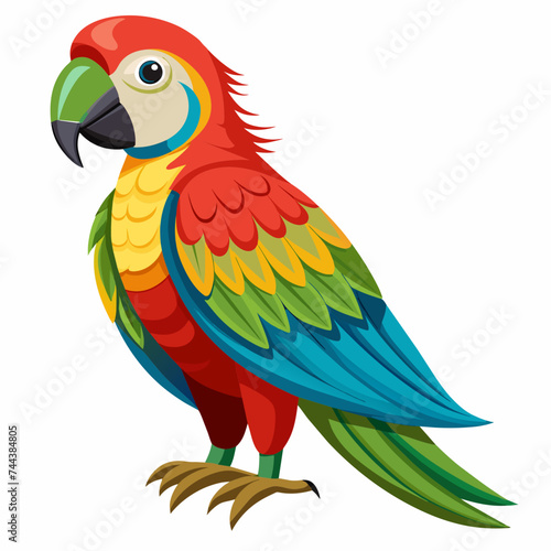 Perrot bird animal pet vector illustration cartoon pretty cute
