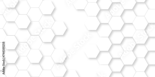 Fototapeta Naklejka Na Ścianę i Meble -  Abstract 3d background with hexagons pattern with hexagonal white and gray technology line paper background. Hexagonal vector grid tile and mosaic structure mess cell. white and gray hexagon.