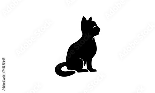 black cat on white background © Niar