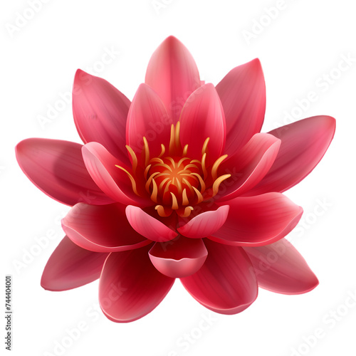 red lotus,water lily isolated on transparent background,transparency  © Pretty Panda