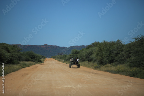 ox cart team on a gravel road in Namibia © Marcel