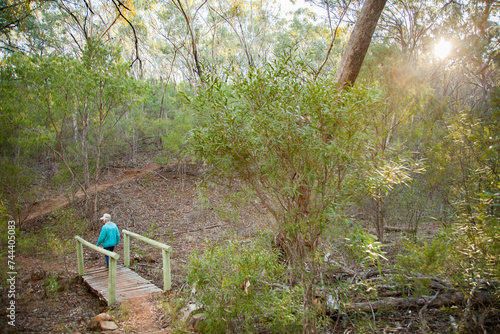 Person walking through bushland in the early morning photo