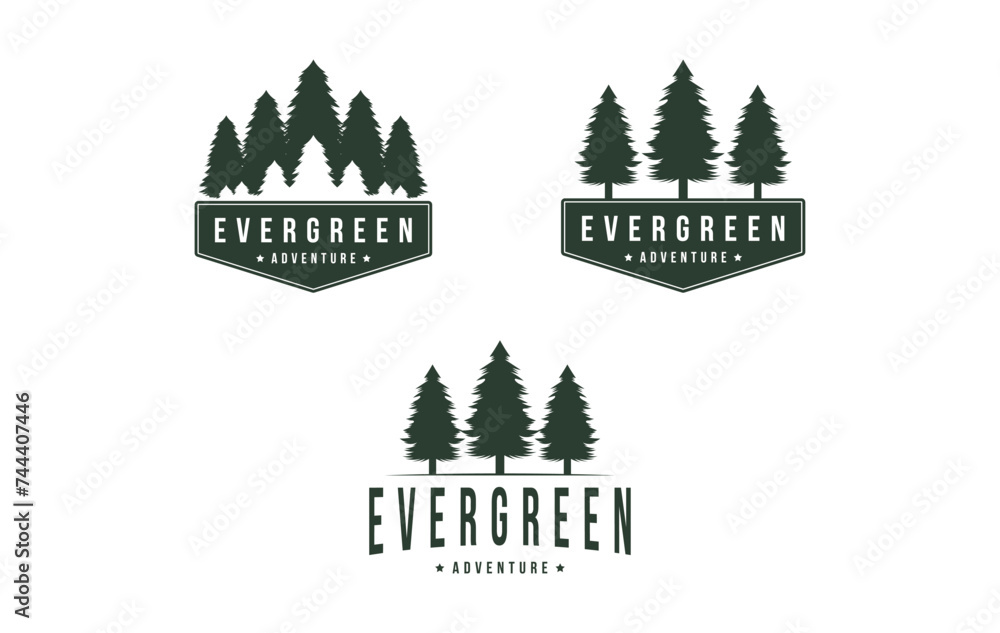 Obraz premium set of pine tree evergreen logo design vintage retro badge