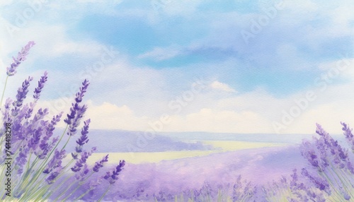 Lavender field