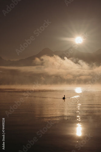 Silhouette of a swan on a lake during golden sunrise with mountains