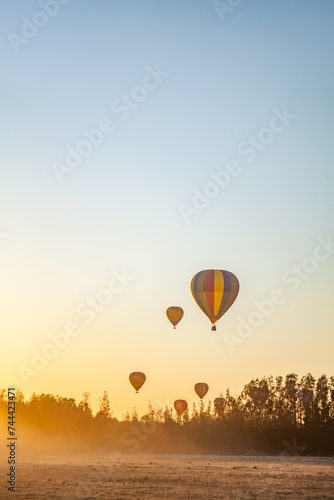 Colourful hot air balloons in the sky above misty paddock photo