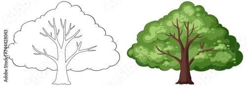 Vector graphic of a tree in two seasons