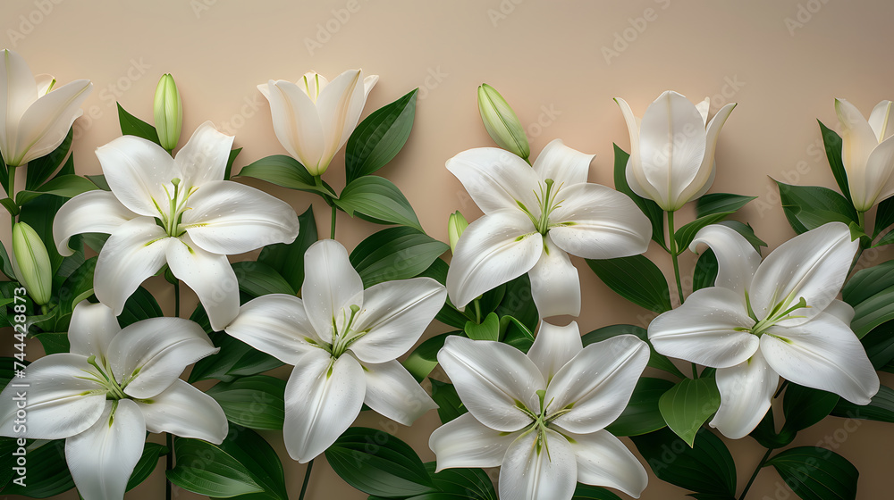 A white Lily background with leaves and petals, a beautiful floral arrangement. A white Lily background with leaves and petals, a beautiful floral arrangement.