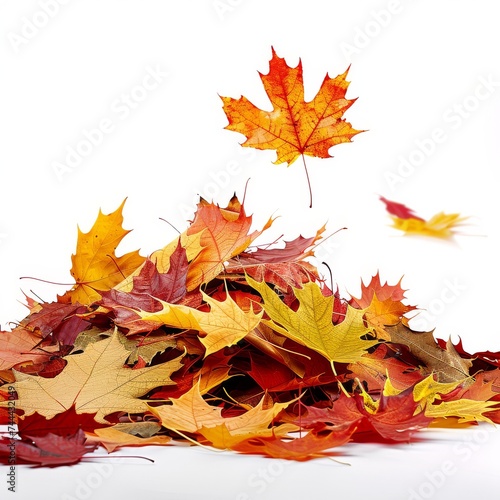 Vibrant pile of falling autumn leaves isolated on white background.