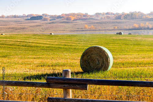 Hay bales in a fall harvested field. Rockyview County, Alberta, Canada