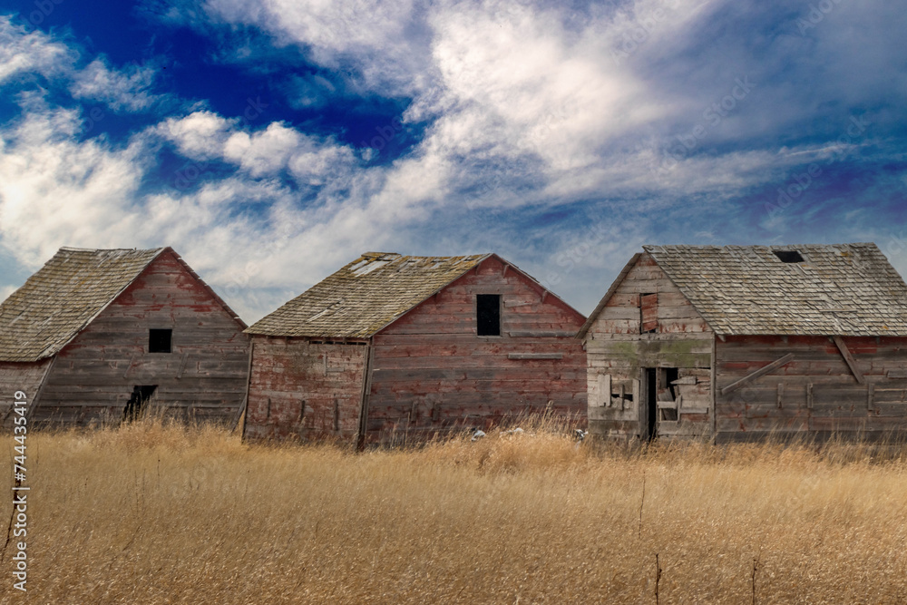 Obraz premium Rustic building on the prairies Vulcan County Alberta Canada