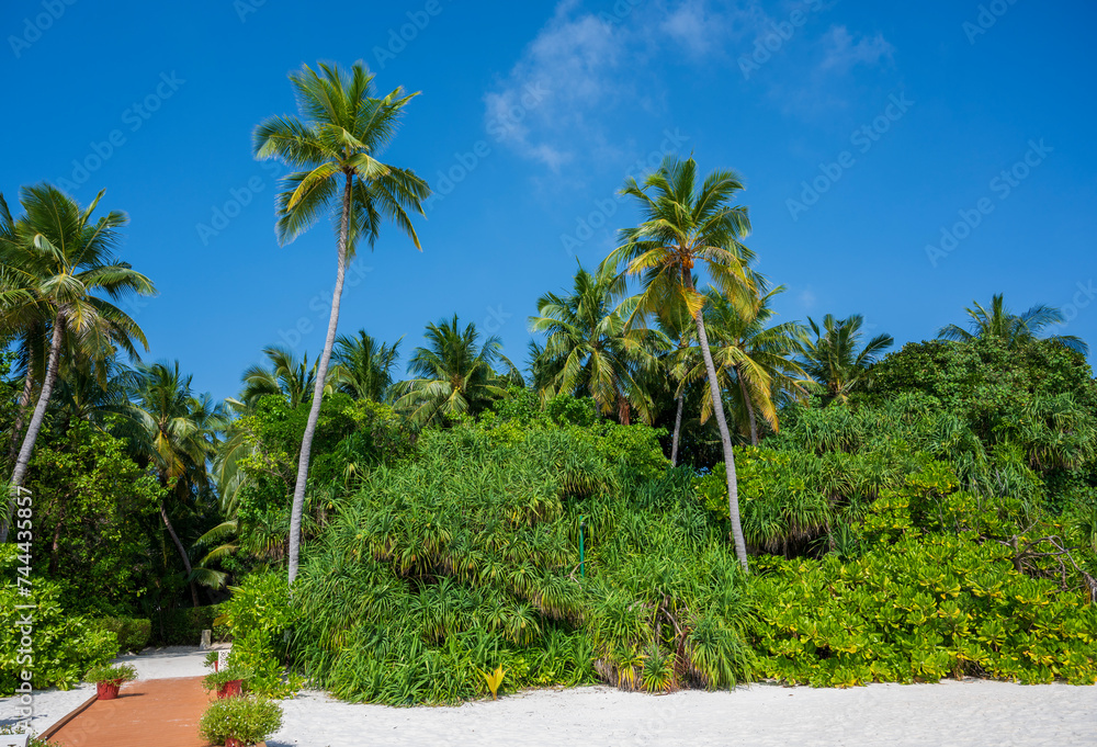 Dense green forest with palm trees behind the sandy beach. Blue sky.