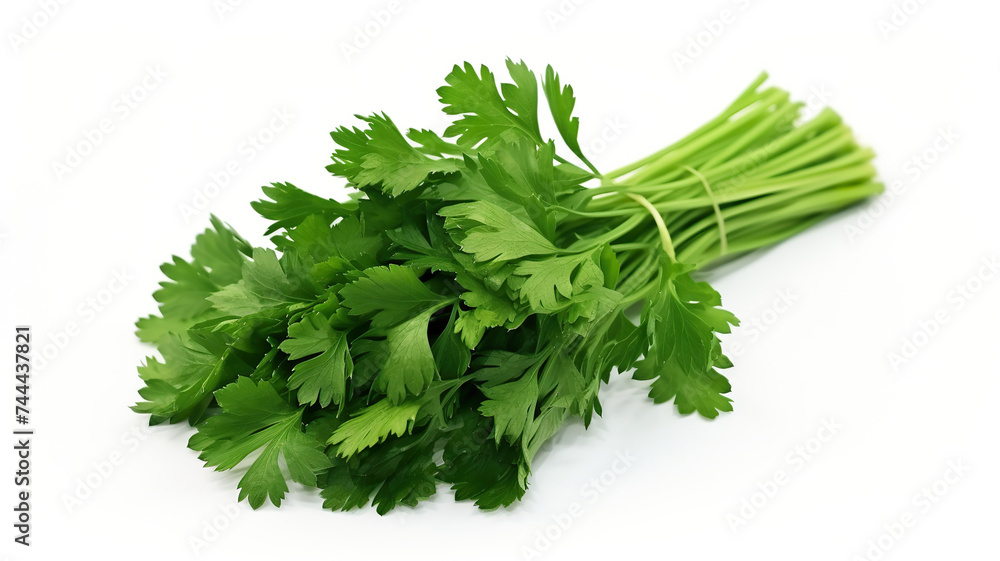 Pure white background with a bunch of parsley isolated on it Pure white background with a bunch of parsley isolated on it