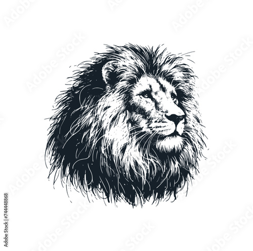 Fototapeta Naklejka Na Ścianę i Meble -  The head of Lion. Black white vector illustration.
