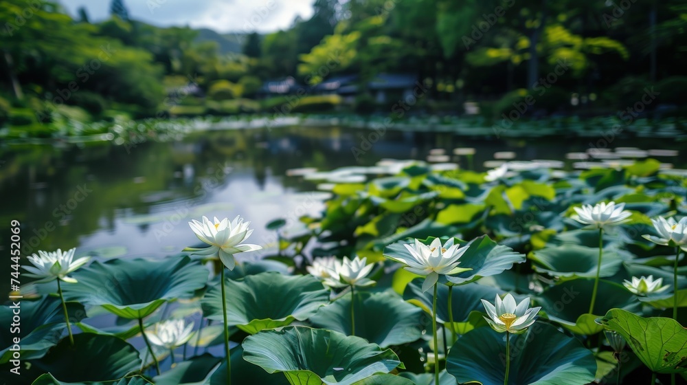 Beautiful white lotus flowers on the water. AI generated images Beautiful white lotus flowers on the water. AI generated images