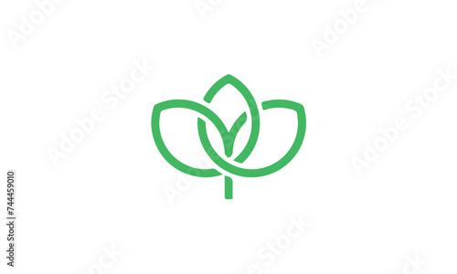 green leaf icon