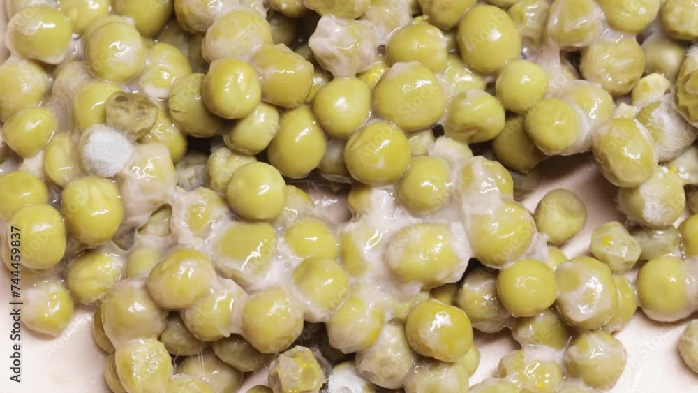 Spoiled canned peas with white mold Spoiled canned peas with white mold