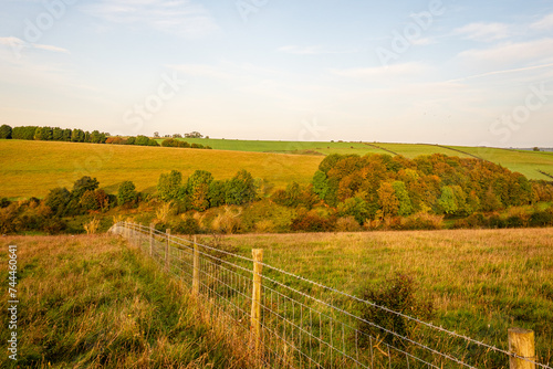 Autumnal Beginnings