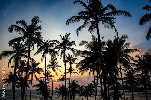 Tropical beach in Sri Lanka © Dominic Meijers