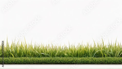 Green grass isolated on white background, clipping path included. 3d illustration