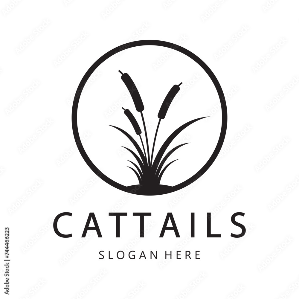Fototapeta premium cattails or river reed grass plant logo design, aquatic plants, swamp, wild grass vector