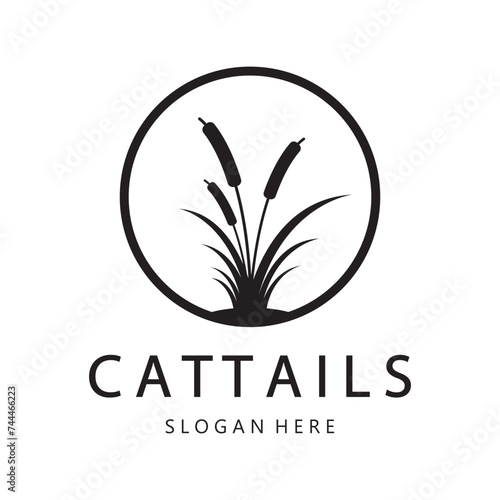 cattails or river reed grass plant logo design, aquatic plants, swamp, wild grass vector
