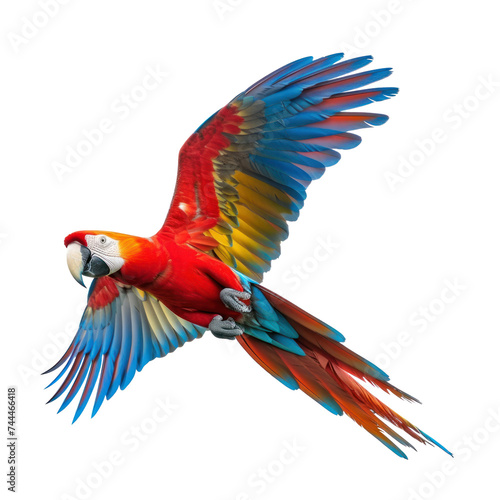 flying macaw parrot on transparency background PNG © KimlyPNG