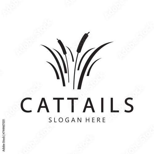 cattails or river reed grass plant logo design, aquatic plants, swamp, wild grass vector
