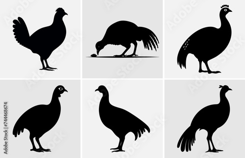 Guinea Fowl Bird Silhouette  Vector silhouette of Guinea Fowls in different positions.