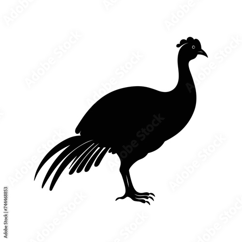 Guinea Fowl Bird Silhouette, Vector silhouette of Guinea Fowls in different positions.
