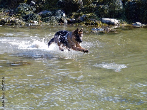 Falko enjoying himself photo