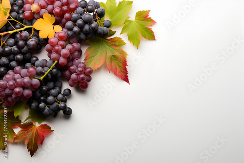 autumn food white background, Festive autumn decor from pumpkins, berries and leaves on a white wooden background. Thanksgiving day & Halloween, autumn composition with copy space, Generative Ai